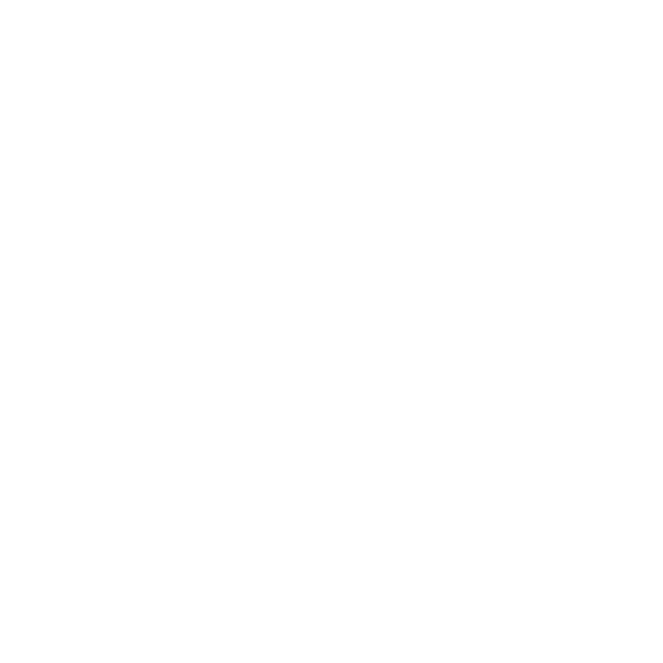 icon-solution-estado