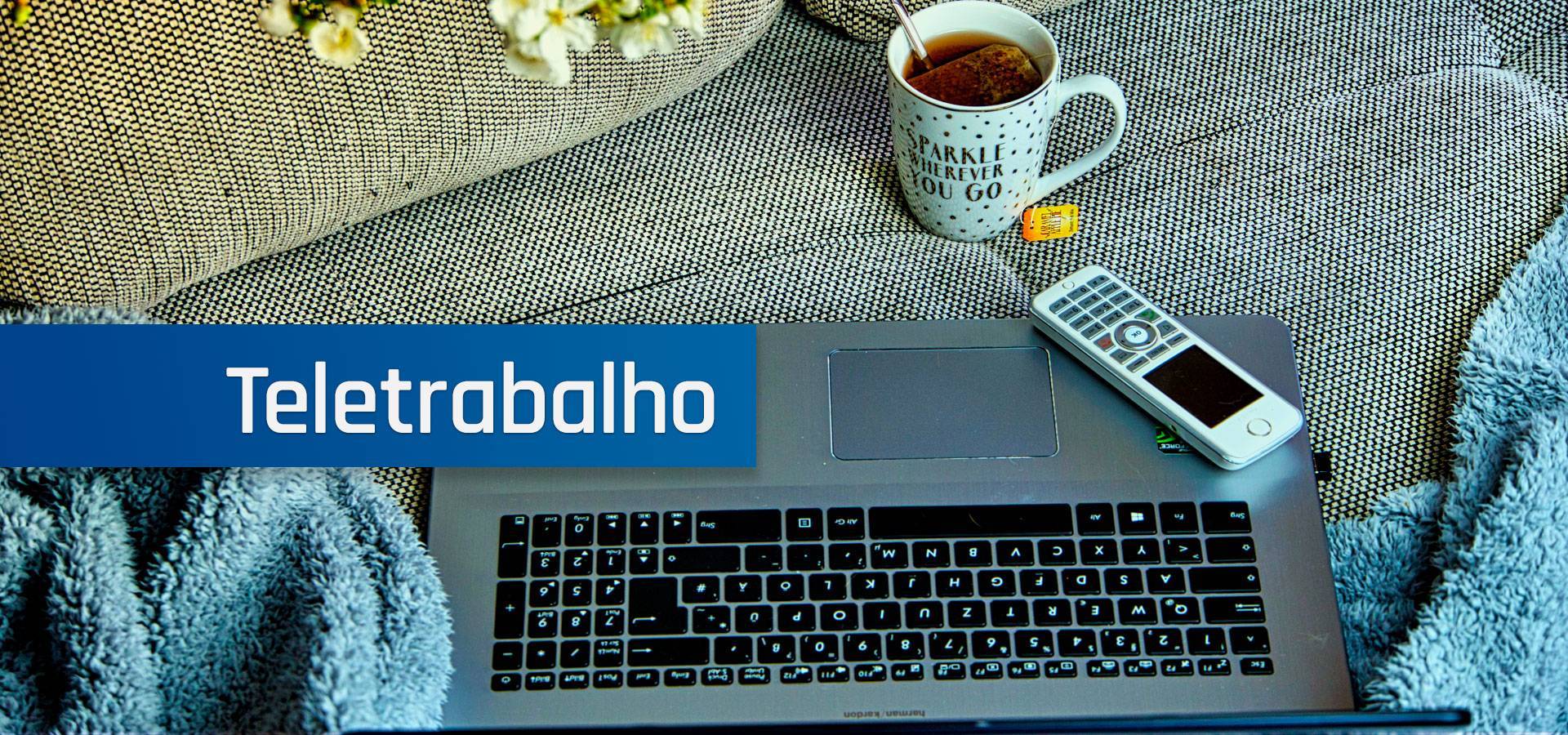 teletrabalho-questões-dicas-soluções-idonic